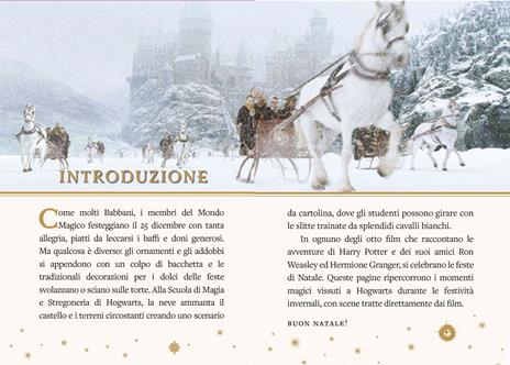 Harry Potter. Il calendario dell'Avvento - 3