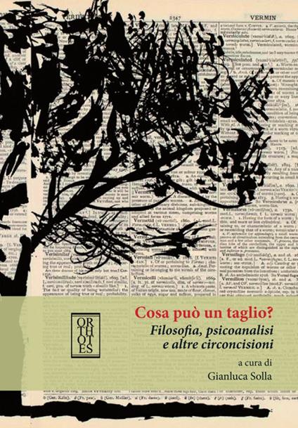 Cosa può un taglio? Filosofia, psicoanalisi e altre circoncisioni - Gianluca Solla - copertina