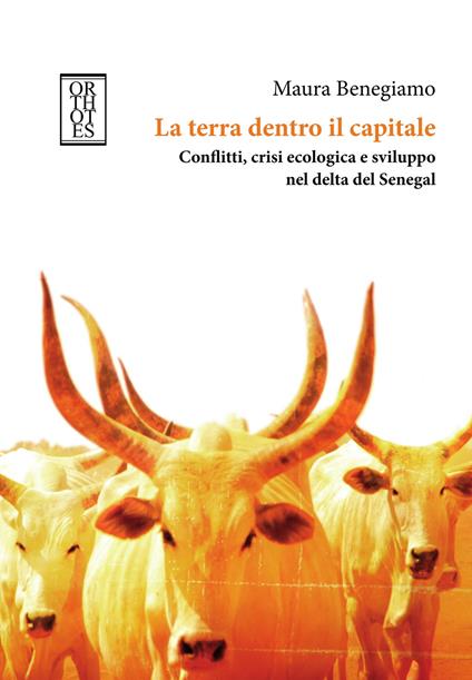 La terra dentro il capitale. Conflitti, crisi ecologica e sviluppo nel delta del Senegal - Maura Benegiamo - copertina