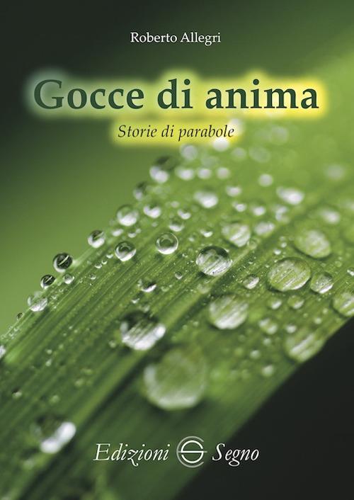 Gocce di anima. Storie di parabole - Roberto Allegri - copertina