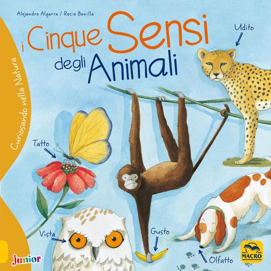 I cinque sensi degli animali. Curiosando nella natura. Ediz. a colori - Alejandro Algarra,Rocio Bonilla - copertina