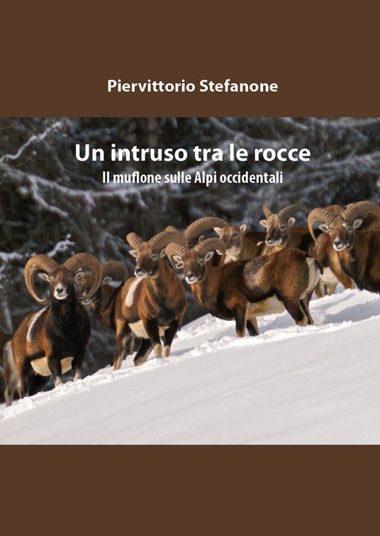 Un intruso tra le rocce - Piervittorio Stefanone - copertina