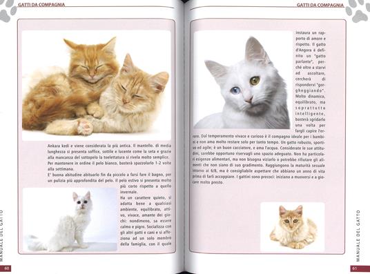 Il manuale del gatto - Libro - 2M - | IBS
