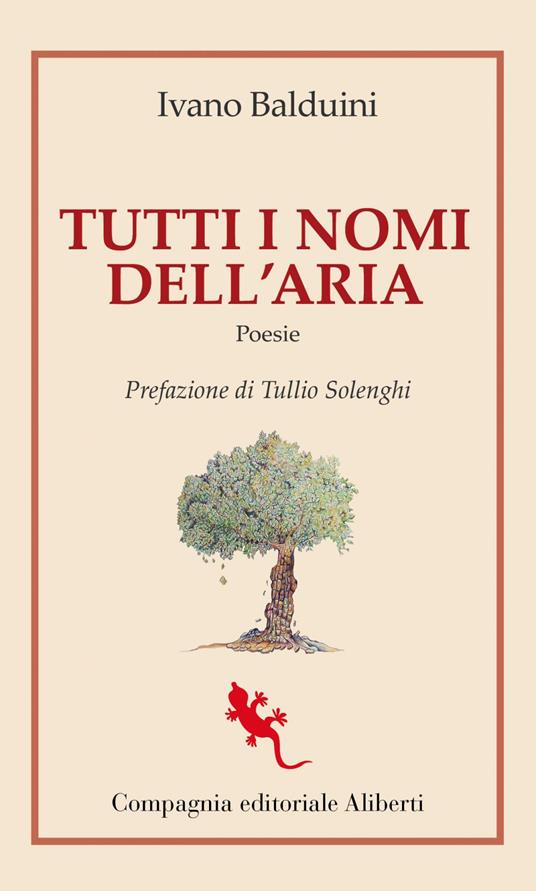 Tutti i nomi dell'aria - Ivano Balduini - ebook