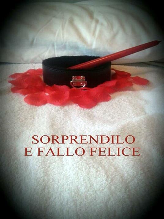 Sorprendilo e fallo felice - G. M. Lykos - ebook