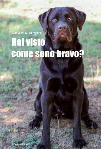 Hai visto come sono bravo? - Grazia Brogi - ebook