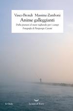 Anime galleggianti. Dalla pianura al mare tagliando per i campi