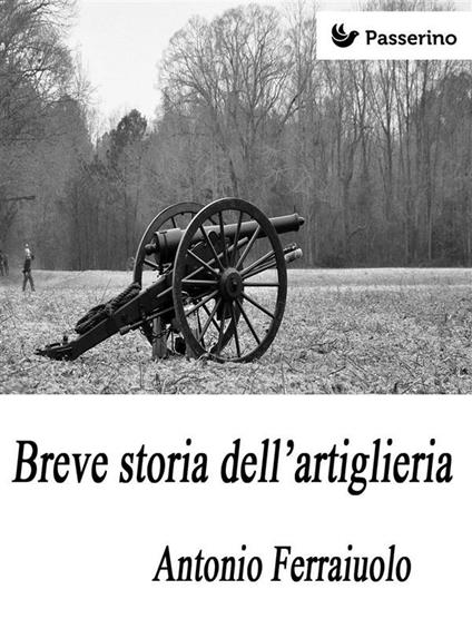 Breve storia dell'artiglieria - Antonio Ferraiuolo - ebook