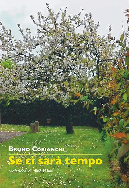 Se ci sarà tempo - Bruno Cobianchi - copertina