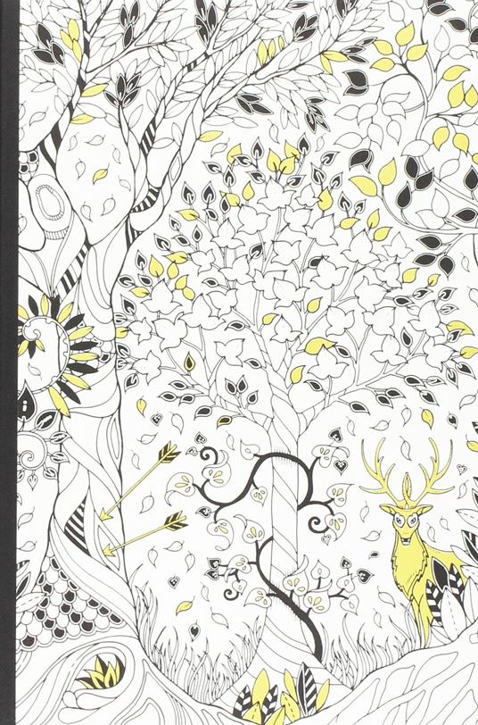 World of Flowers: A Colouring Book and Floral Adventure: Johanna