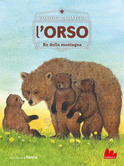 L' orso. Re della montagna. Conosci la natura - Renne,Claudia Cozzi - ebook