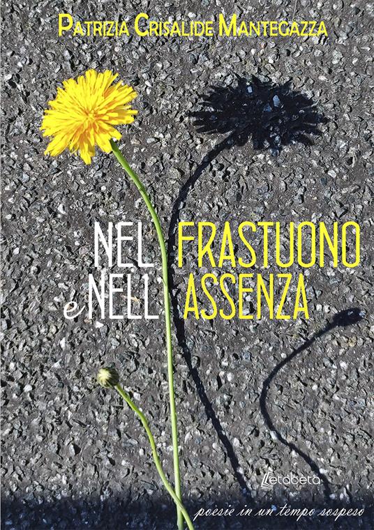 Nel frastuono e nell'assenza. Poesie in un tempo sospeso - Patrizia Crisalide Mantegazza - copertina