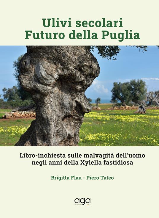 Ulivi secolari futuro della Puglia. Libro-inchiesta sulle malvagità dell’uomo negli anni della Xylella fastidiosa - Brigitta Flau,Piero Tateo - copertina