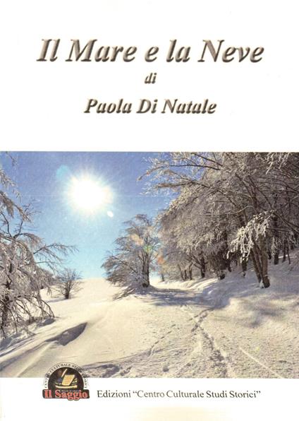 Il mare e la neve - Paola Di Natale - copertina