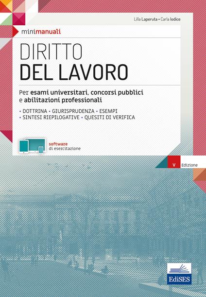 Diritto del lavoro. Teoria e test per la preparazione all'esame - copertina