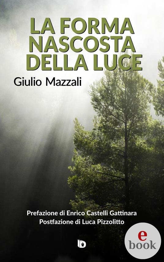 La forma nascosta della luce - Giulio Mazzali,Adriana Giulia Vertucci - ebook