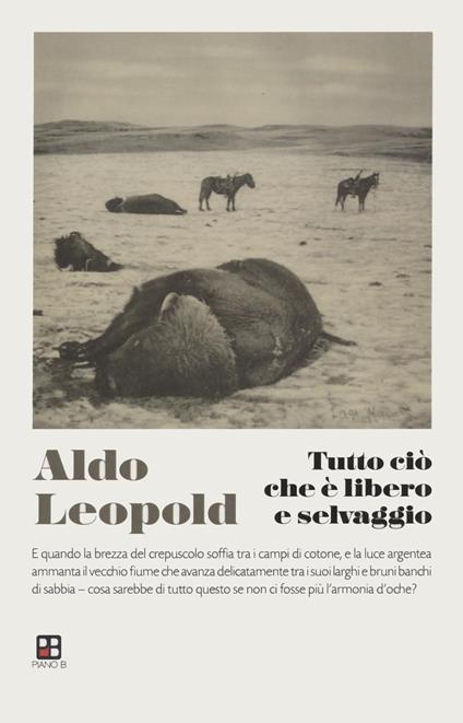 Tutto ciò che è libero e selvaggio - Aldo Leopold - copertina