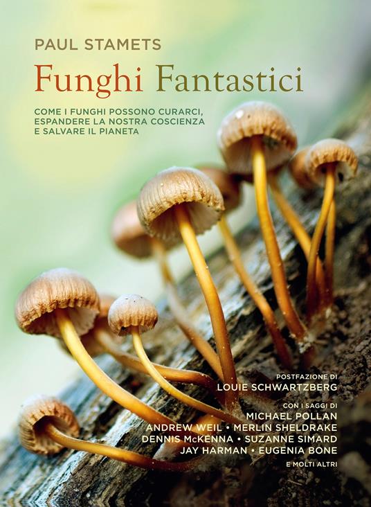 Funghi fantastici - copertina