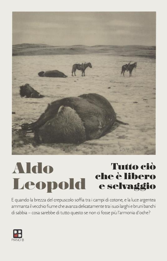 Tutto ciò che è libero e selvaggio - Aldo Leopold,Luca Castelletti - ebook