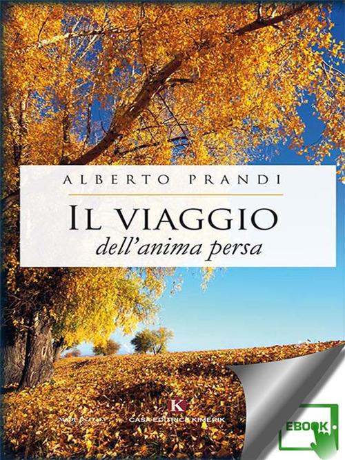 Il viaggio dell'anima persa - Alberto Prandi - ebook