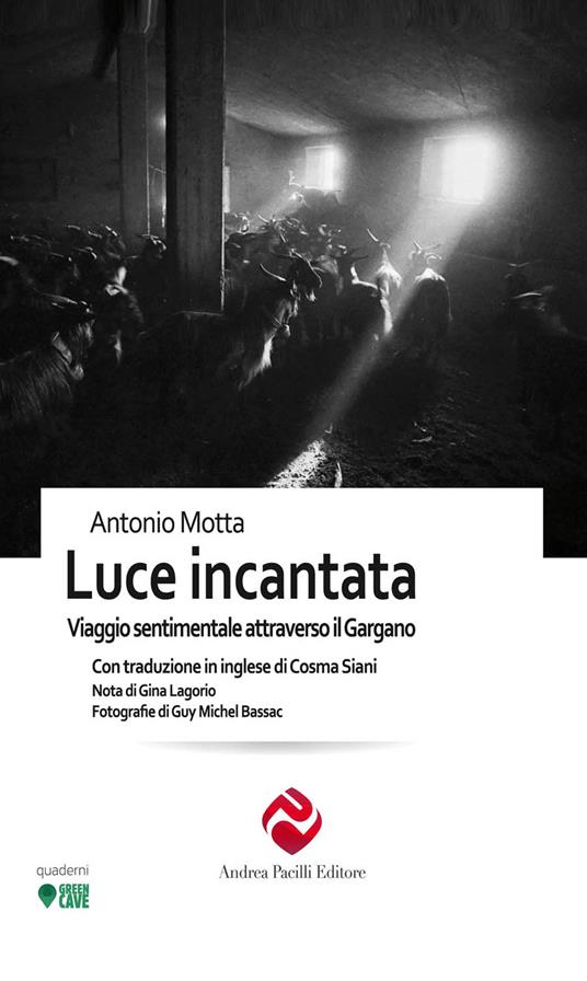 Luce incantata. Viaggio sentimentale attraverso il Gargano - Antonio Motta - copertina