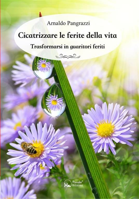 Cicatrizzare le ferite della vita. Trasformarsi in guaritori feriti - Arnaldo Pangrazzi - ebook