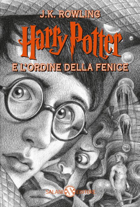 Harry Potter. Cofanetto edizione speciale dei vent'anni - J. K. Rowling -  Libro - Salani 