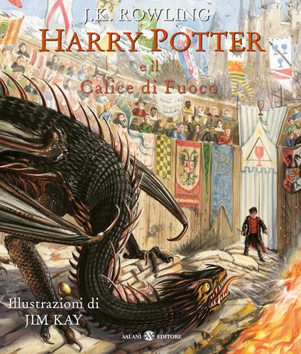 HARRY POTTER E IL CALICE DI FUOCO LIBRO J. K. ROWLING SALANI PRIMA EDI –  GamesPark92