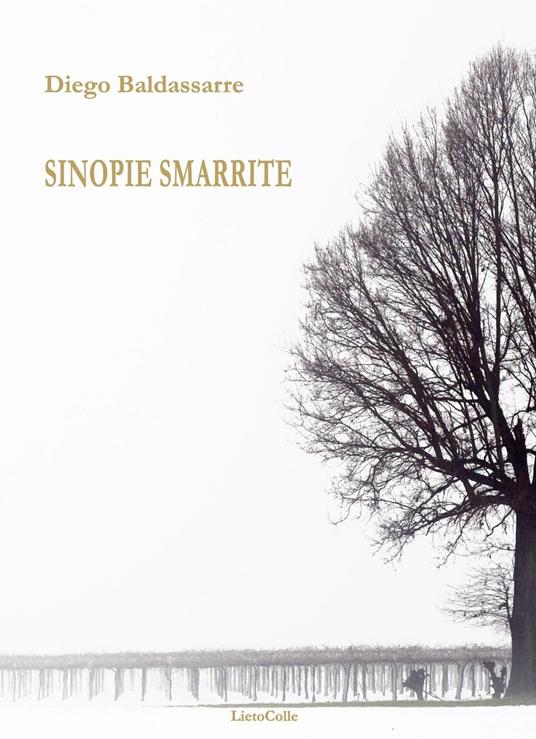 Sinopie smarrite - Diego Baldassarre - copertina