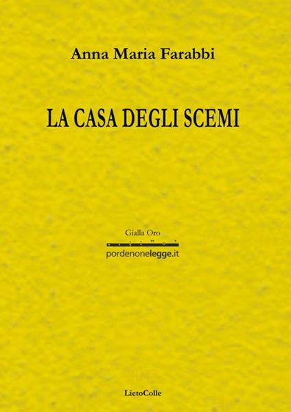 La casa degli scemi - Anna Maria Farabbi - copertina