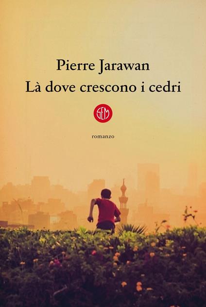 Là dove crescono i cedri - Pierre Jarawan,Emilia Benghi - ebook