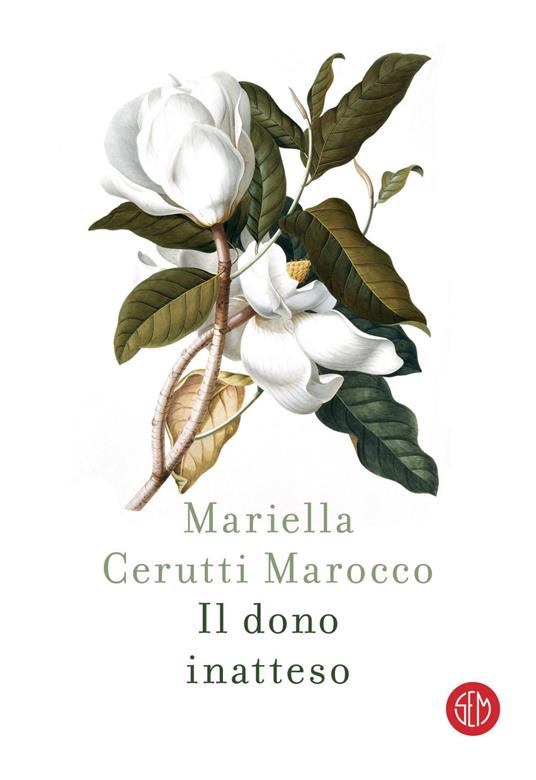 Il dono inatteso - Mariella Cerutti Marocco - ebook