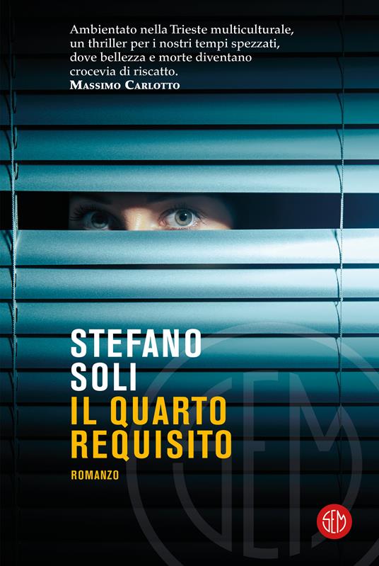 Il quarto requisito - Stefano Soli - copertina