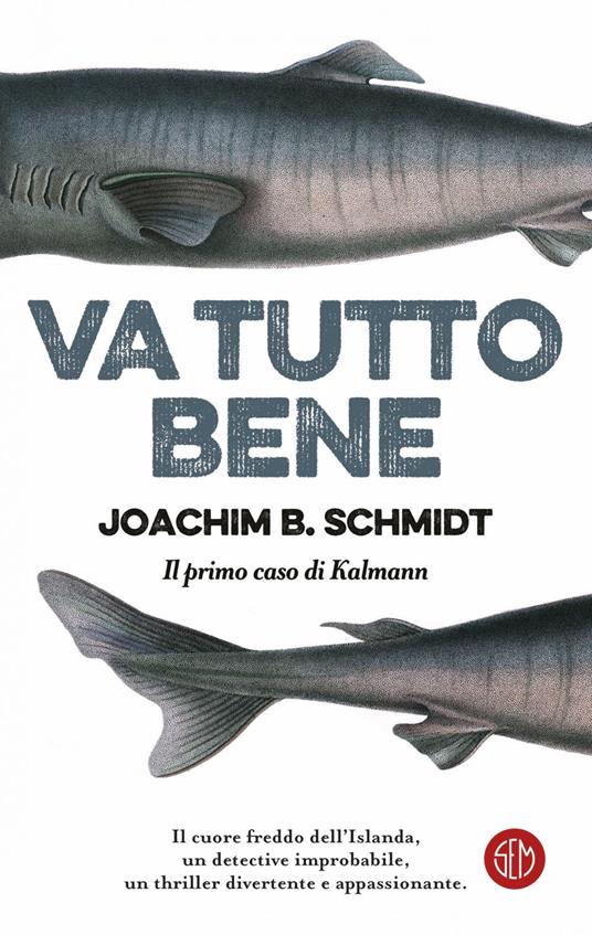 Va tutto bene. Il primo caso di Kalmann - Joachim B. Schmidt,Emilia Benghi - ebook