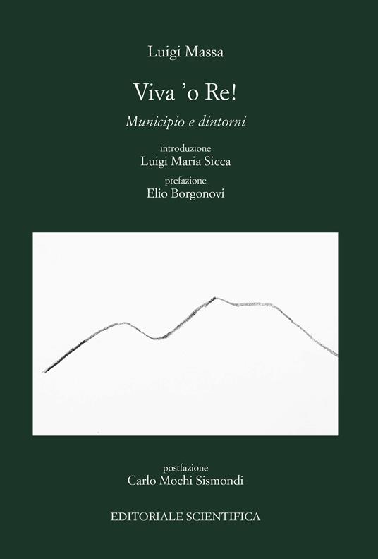 Viva 'o Re. Municipio e dintorni - Luigi Massa - copertina