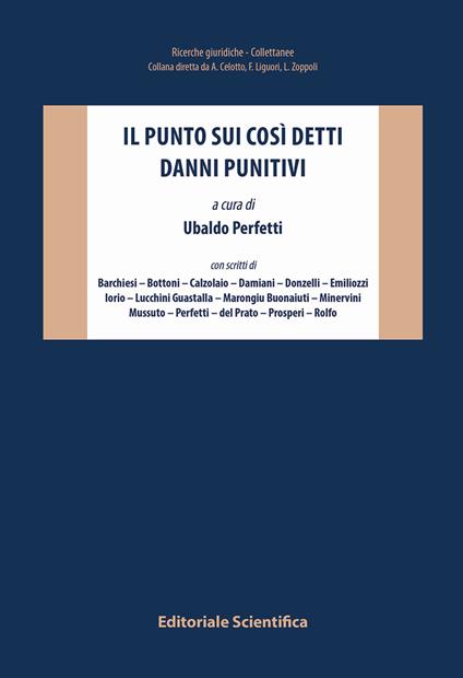 Il punto sui così detti danni punitivi - copertina