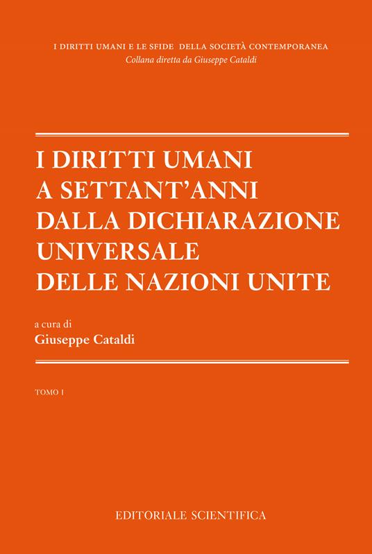 I diritti umani a settant'anni dalla dichiarazione universale delle Nazioni unite. Vol. 1 - copertina