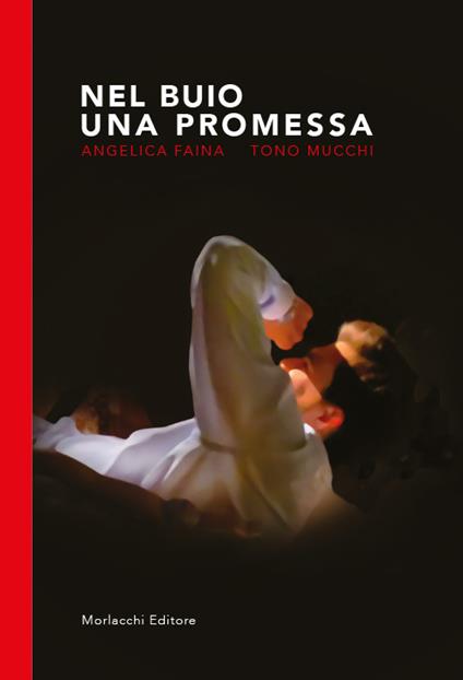 Nel buio una promessa - Angelica Faina,Tono Mucchi - copertina