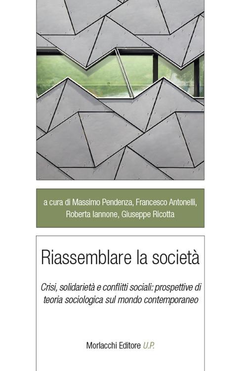 Riassemblare la società. Crisi, solidarietà e conflitti sociali: prospettive di teoria sociologica sul mondo contemporaneo - copertina