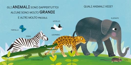 Zoologia. Scienza baby - Jonathan Litton - 3