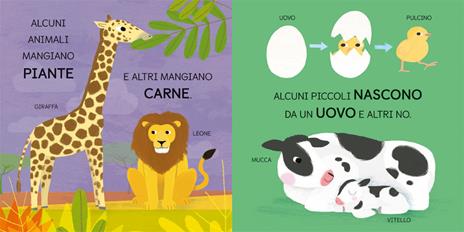 Zoologia. Scienza baby - Jonathan Litton - 4