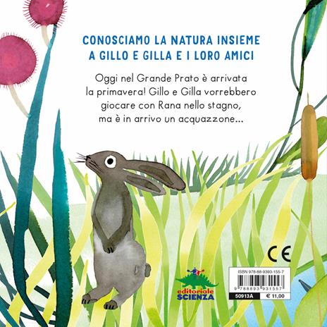 Un tuffo nello stagno. Il grande prato di Gillo e Gilla. Ediz. a colori - Roberta Bianchi - 5