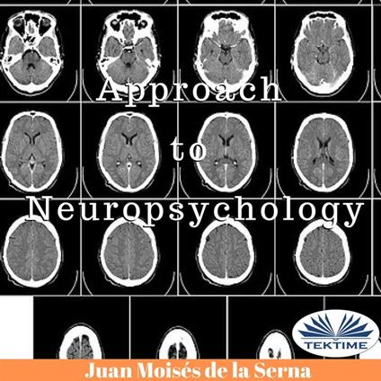 Approach To Neuropsychology