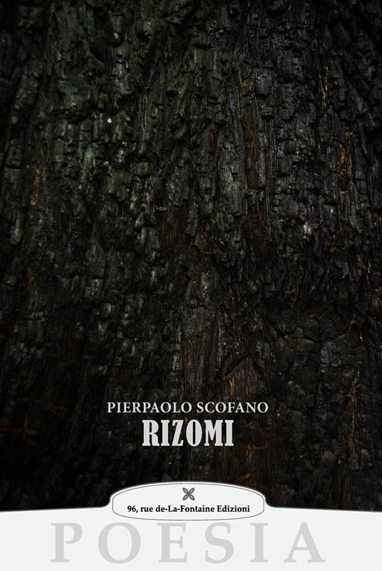 Rizomi - Pierpaolo Scofano - copertina