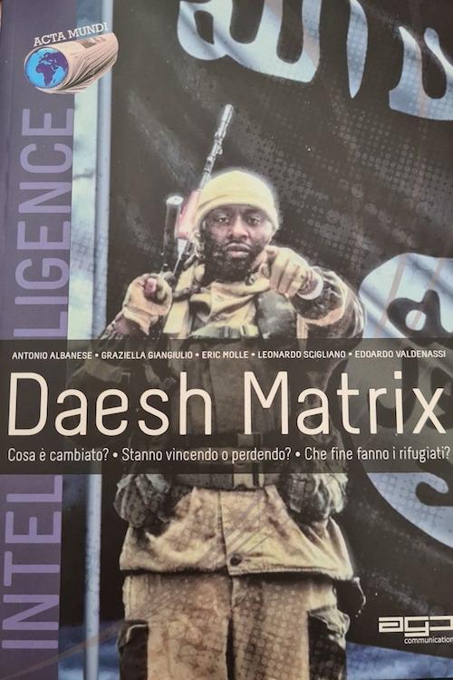 Daesh Matrix. Cosa è cambiato? Stanno vincendo o perdendo? Che fine fanno i rifugiati? - copertina