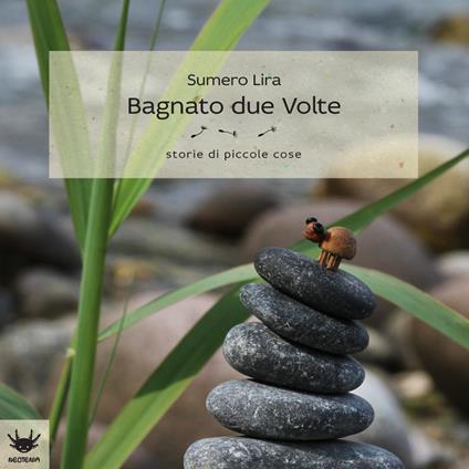 Bagnato due volte - Sumero Lira - copertina