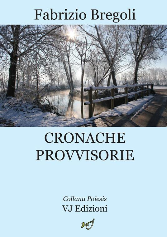 Cronache provvisorie - Fabrizio Bregoli - copertina