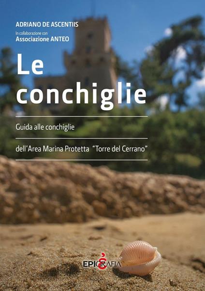 Le conchiglie. Guida alle conchiglie dell'area marina protetta "Torre del Cerrano" - Adriano De Ascentiis - copertina