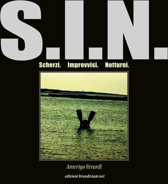 S.I.N. Scherzi, improvvisi, notturni - Amerigo Verardi - copertina