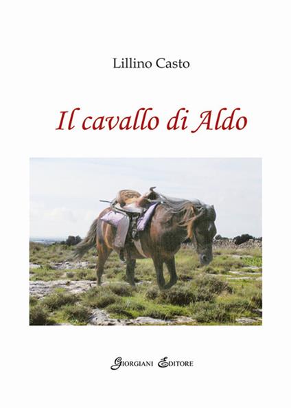 Il cavallo di Aldo - Lillino Casto - copertina